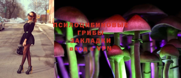 таблы Алексин