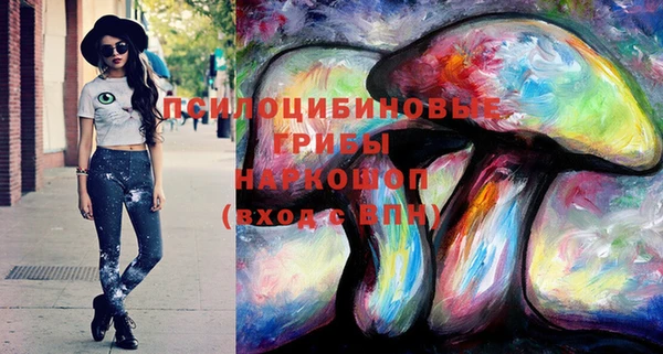 амф Алзамай