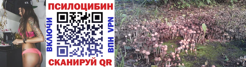 Псилоцибиновые грибы Psilocybine cubensis  закладка  Кола 